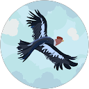 Mohamed Baroudi profile picture