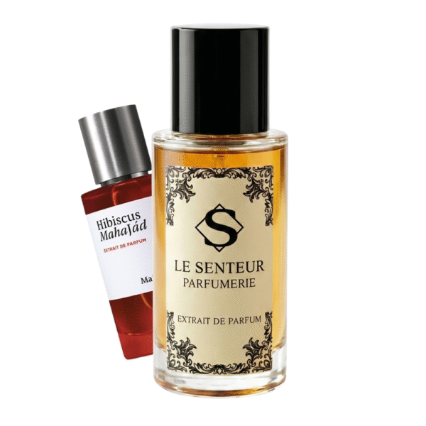 Hibiscus Mahajad Maison Crivelli